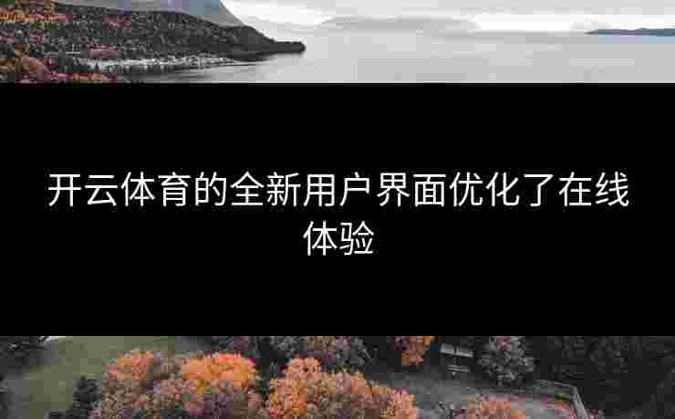 开云体育的全新用户界面优化了在线体验
