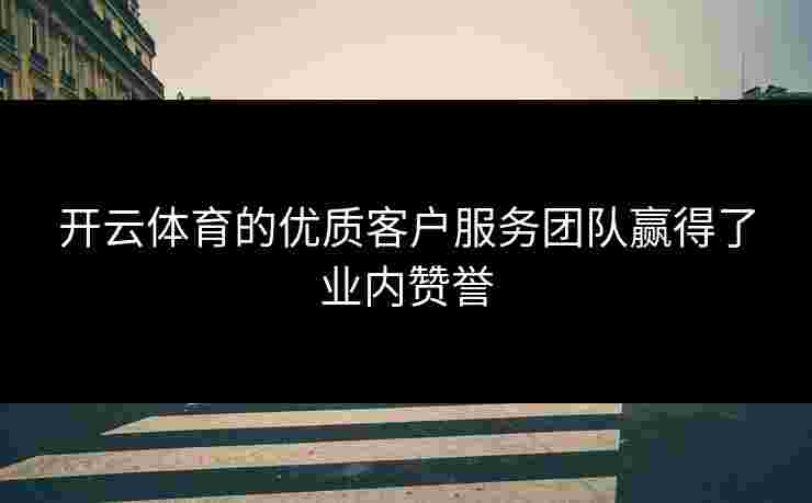 开云体育的优质客户服务团队赢得了业内赞誉